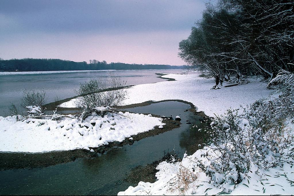 Landhotel Wachau Emmersdorf an der Donau Buitenkant foto